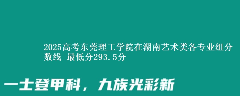2025高考东莞理工学院在湖南艺术类各专业组分数线 最低分293.5分