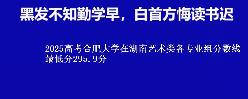 2025高考合肥大学在湖南艺术类各专业组分数线 最低分295.9分