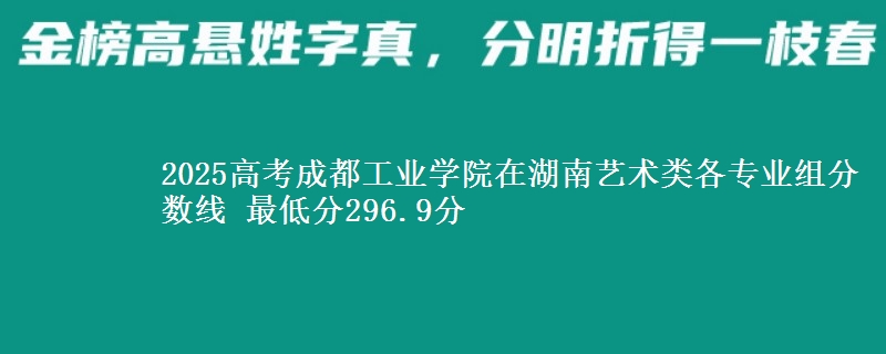 2025高考成都工业学院在湖南艺术类各专业组分数线 最低分296.9分