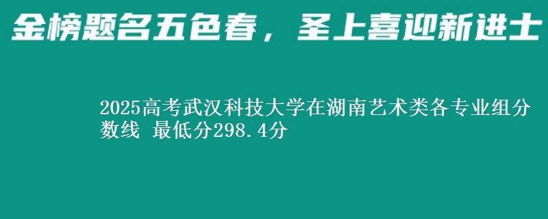 2025高考武汉科技大学在湖南艺术类各专业组分数线 最低分298.4分