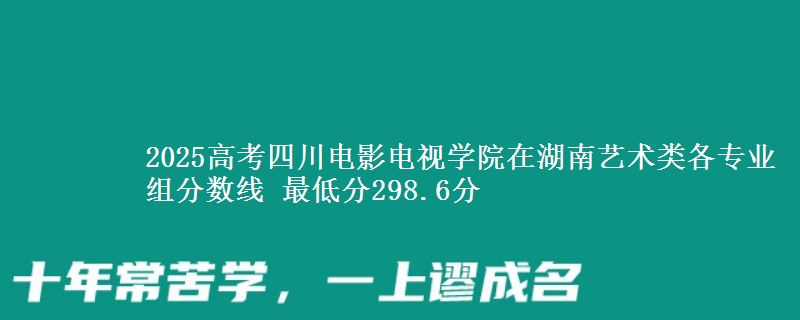 2025高考四川电影电视学院在湖南艺术类各专业组分数线 最低分298.6分