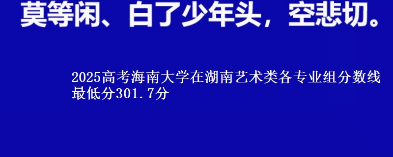 2025高考海南大学在湖南艺术类各专业组分数线 最低分301.7分