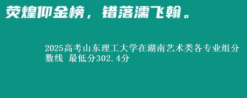 2025高考山东理工大学在湖南艺术类各专业组分数线 最低分302.4分
