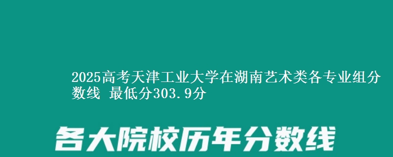 2025高考天津工业大学在湖南艺术类各专业组分数线 最低分303.9分