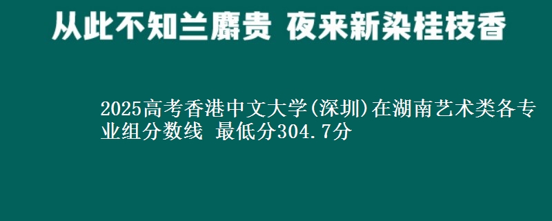 2025高考香港中文大学(深圳)在湖南艺术类各专业组分数线 最低分304.7分