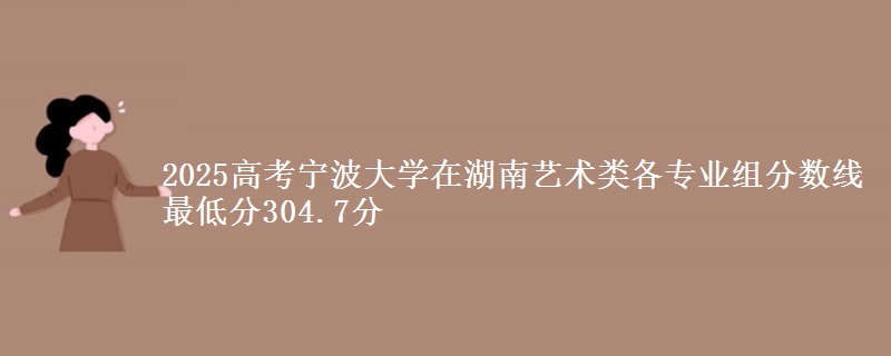 2025高考宁波大学在湖南艺术类各专业组分数线 最低分304.7分