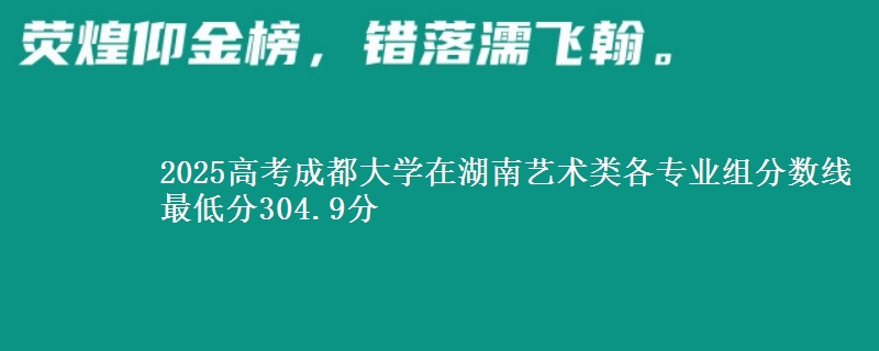 2025高考成都大学在湖南艺术类各专业组分数线 最低分304.9分