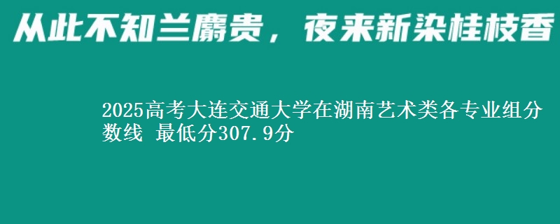 2025高考大连交通大学在湖南艺术类各专业组分数线 最低分307.9分