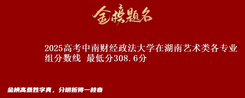 2025高考中南财经政法大学在湖南艺术类各专业组分数线 最低分308.6分