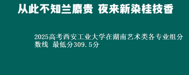 2025高考西安工业大学在湖南艺术类各专业组分数线 最低分309.5分