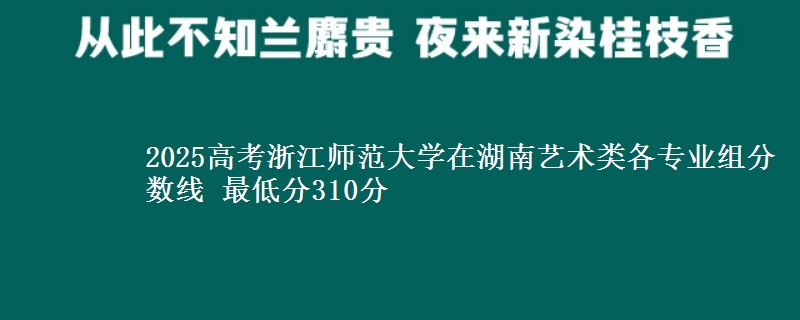 2025高考浙江师范大学在湖南艺术类各专业组分数线 最低分310分