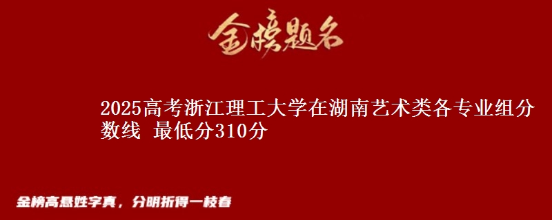 2025高考浙江理工大学在湖南艺术类各专业组分数线 最低分310分