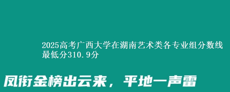 2025高考广西大学在湖南艺术类各专业组分数线 最低分310.9分