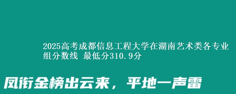 2025高考成都信息工程大学在湖南艺术类各专业组分数线 最低分310.9分