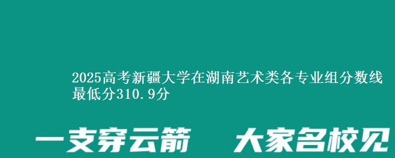 2025高考新疆大学在湖南艺术类各专业组分数线 最低分310.9分