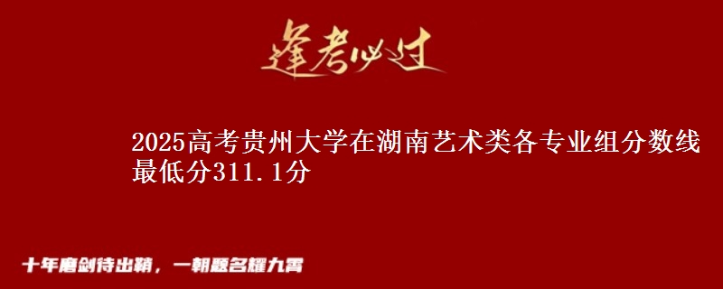 2025高考贵州大学在湖南艺术类各专业组分数线 最低分311.1分