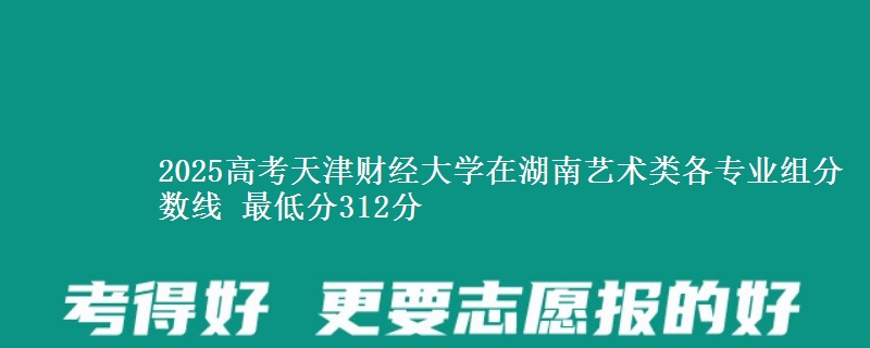 2025高考天津财经大学在湖南艺术类各专业组分数线 最低分312分