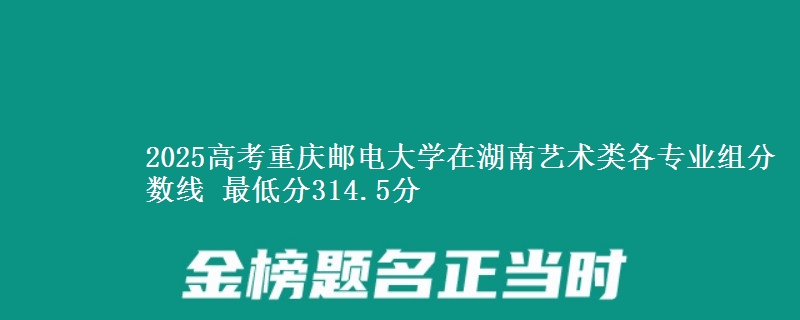 2025高考重庆邮电大学在湖南艺术类各专业组分数线 最低分314.5分