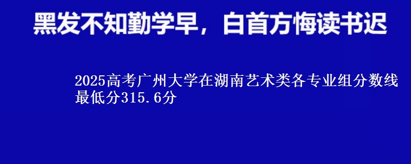 2025高考广州大学在湖南艺术类各专业组分数线 最低分315.6分
