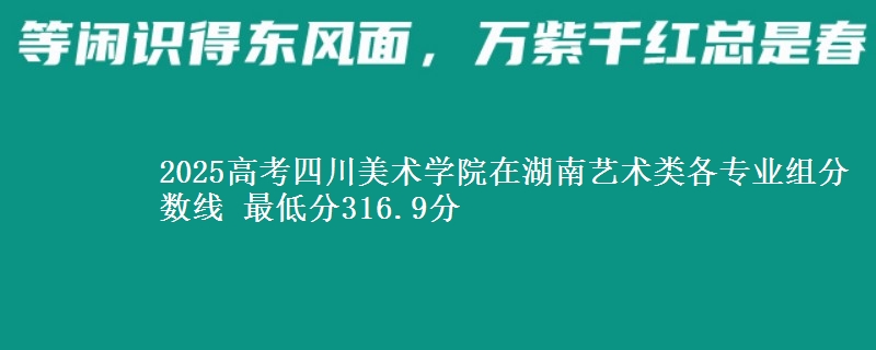 2025高考四川美术学院在湖南艺术类各专业组分数线 最低分316.9分