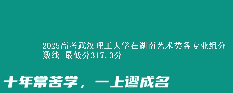 2025高考武汉理工大学在湖南艺术类各专业组分数线 最低分317.3分