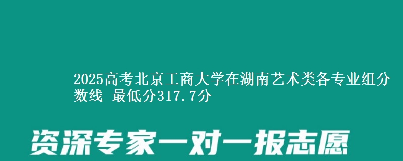 2025高考北京工商大学在湖南艺术类各专业组分数线 最低分317.7分