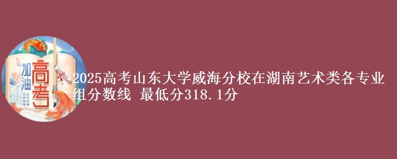 2025高考山东大学威海分校在湖南艺术类各专业组分数线 最低分318.1分