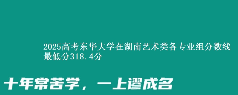 2025高考东华大学在湖南艺术类各专业组分数线 最低分318.4分