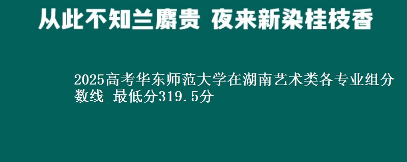 2025高考华东师范大学在湖南艺术类各专业组分数线 最低分319.5分