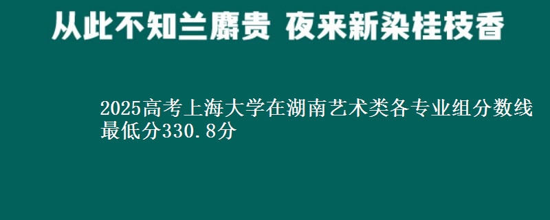 2025高考上海大学在湖南艺术类各专业组分数线 最低分330.8分