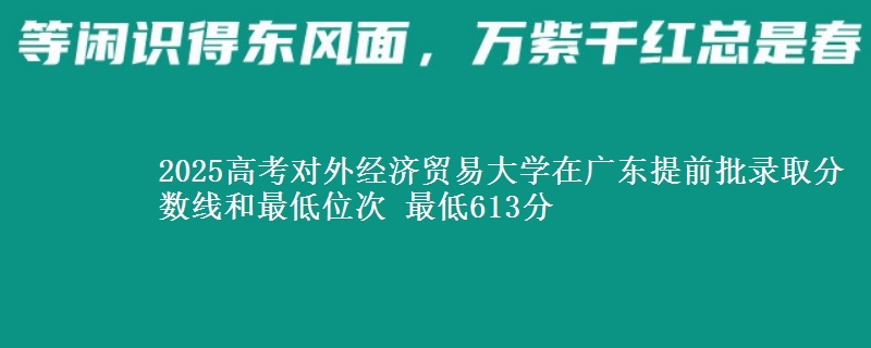 2025高考对外经济贸易大学在广东提前批录取分数线和最低位次 最低613分