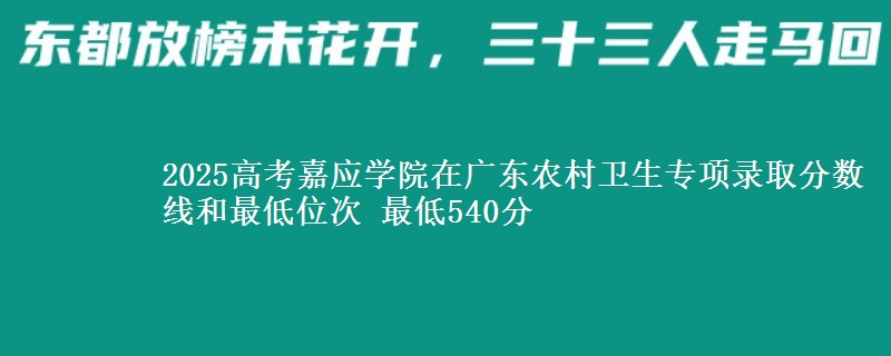2025高考嘉应学院在广东农村卫生专项录取分数线和最低位次 最低540分