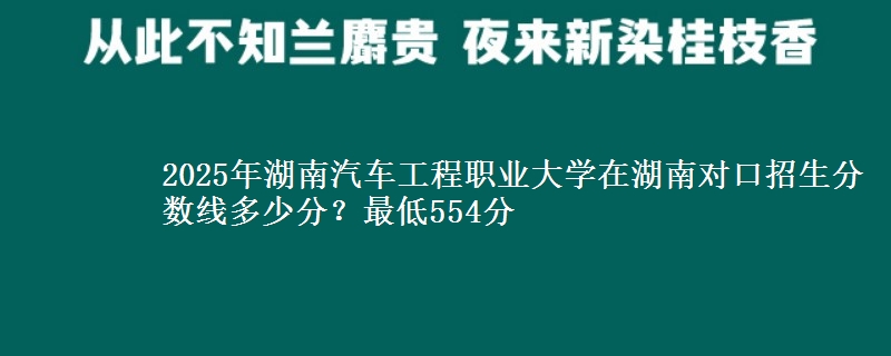 2025年湖南汽车工程职业大学在湖南对口招生分数线多少分?最低554分