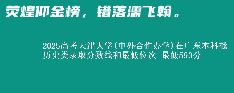 2025高考天津大学(中外合作办学)在广东本科批历史类录取分数线和最低位次 最低593分