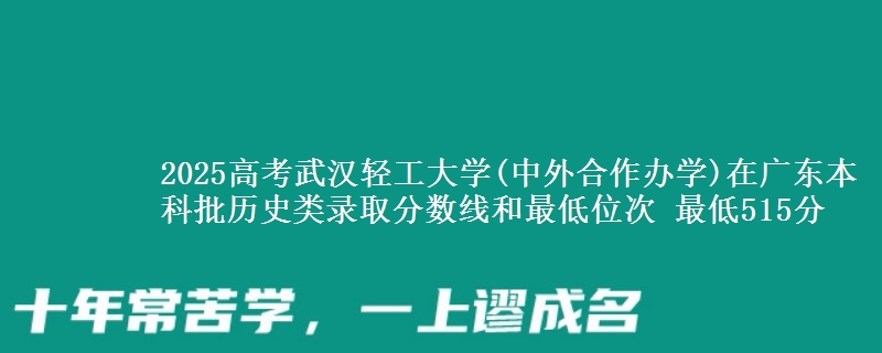 2025高考武汉轻工大学(中外合作办学)在广东本科批历史类录取分数线和最低位次 最低515分