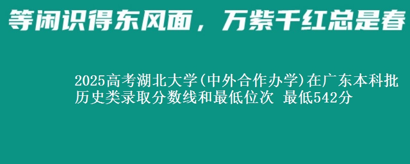 2025高考湖北大学(中外合作办学)在广东本科批历史类录取分数线和最低位次 最低542分