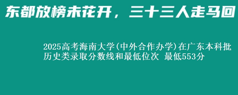 2025高考海南大学(中外合作办学)在广东本科批历史类录取分数线和最低位次 最低553分