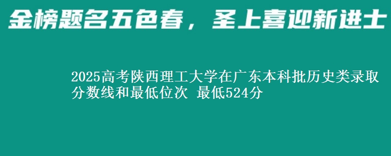 2025高考陕西理工大学在广东本科批历史类录取分数线和最低位次 最低524分
