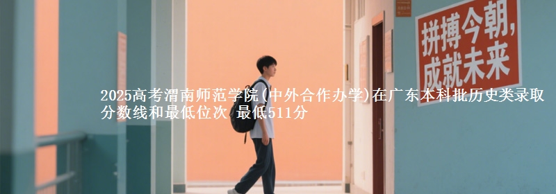 2025高考渭南师范学院(中外合作办学)在广东本科批历史类录取分数线和最低位次 最低511分