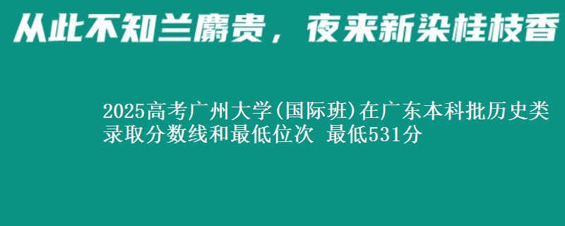 2025高考广州大学(国际班)在广东本科批历史类录取分数线和最低位次 最低531分