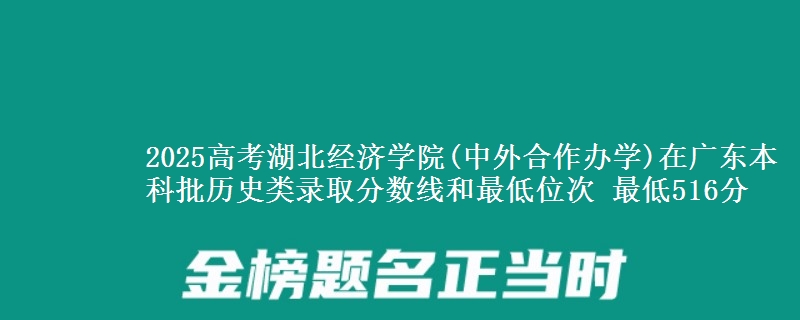 2025年湖北经济学院(中外合作办学)在广东历史类录取分数线和最低位次 最低516分