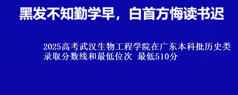 2025高考武汉生物工程学院在广东本科批历史类录取分数线和最低位次 最低510分