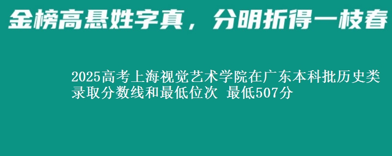 2025高考上海视觉艺术学院在广东本科批历史类录取分数线和最低位次 最低507分