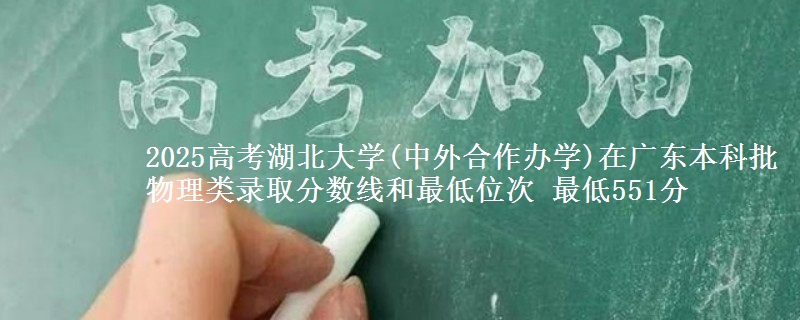 2025高考湖北大学(中外合作办学)在广东本科批物理类录取分数线和最低位次 最低551分