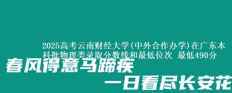 2025高考云南财经大学(中外合作办学)在广东本科批物理类录取分数线和最低位次 最低490分