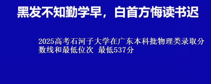 2025年石河子大学在广东物理类录取分数线和最低位次 最低537分