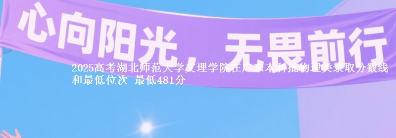 2025高考湖北师范大学文理学院在广东本科批物理类录取分数线和最低位次 最低481分