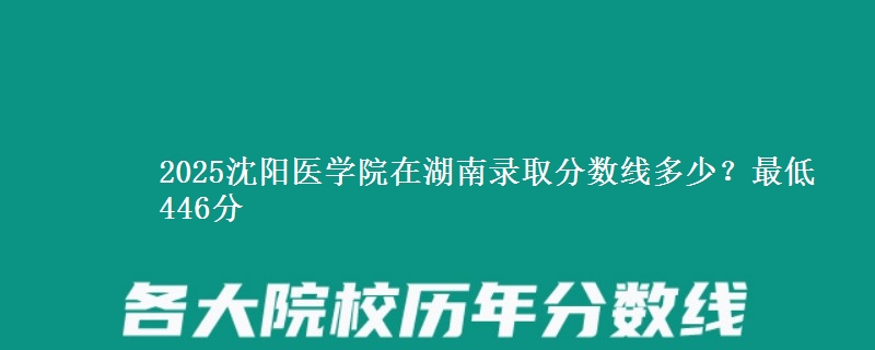 2025沈阳医学院在湖南录取分数线多少?最低446分
