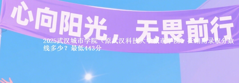 2025武汉城市学院（原武汉科技大学城市学院）在湖南录取分数线多少？最低443分