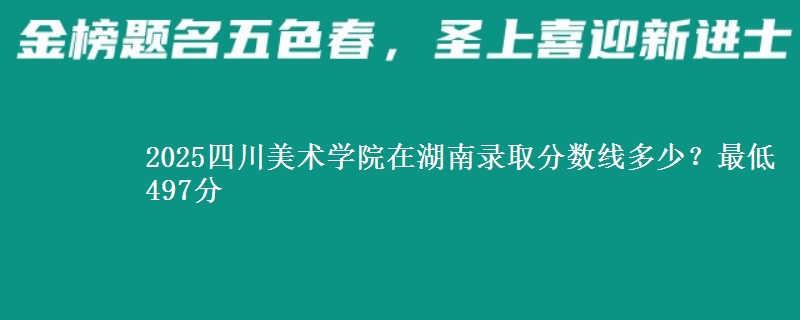 2025四川美术学院在湖南录取分数线多少?最低497分